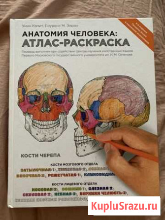 Анатомия человека: Атлас-Раскраска Чебоксары - изображение 1