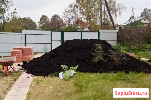 Земля плодородная от 1 м Кингисепп - изображение 1
