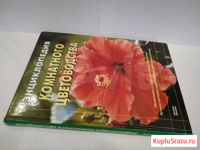 Книга Энциклопедия комнатного цветоводства Карпинск - изображение 1