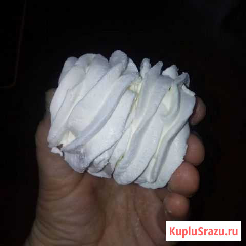 Зефир Нижний Кисляй - изображение 1