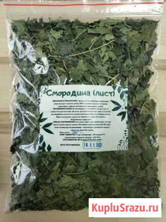 Смородина черная (лист) Горно-Алтайск - изображение 1