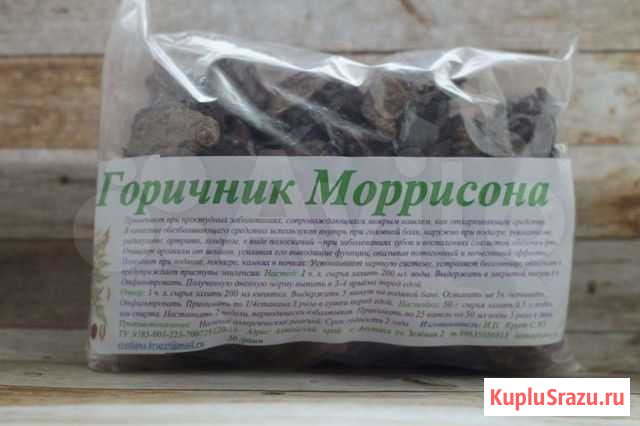 Горичник Моррисона Новосибирск - изображение 1