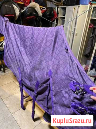 Уздечки, трензеля, налобники, попоны Шатура - изображение 1