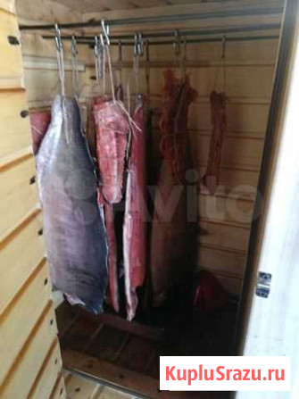 Рыба Полысаево - изображение 1