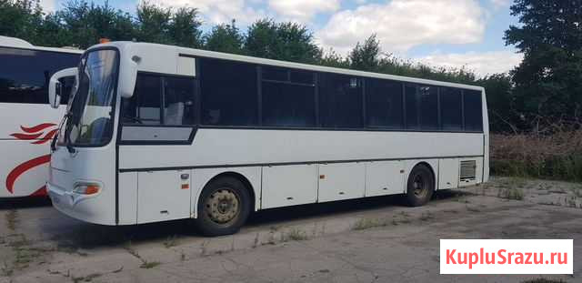 Автобус кавз аврора 4238 2009гв Тольятти - изображение 1
