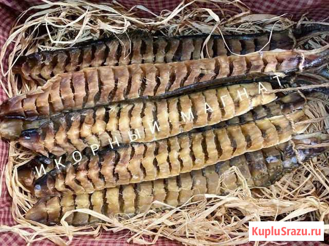 Юкола Муксуна Якутия Нижний Новгород - изображение 1