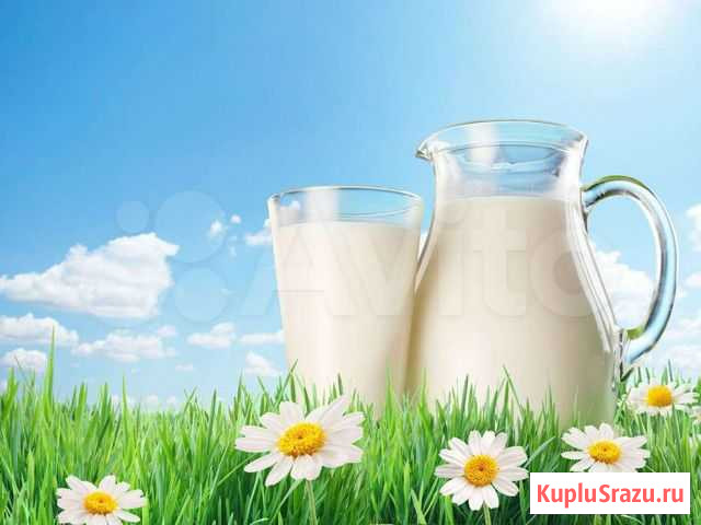 Продукты питания оптом Бийск - изображение 1