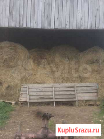 Продам солому Голынки - изображение 1