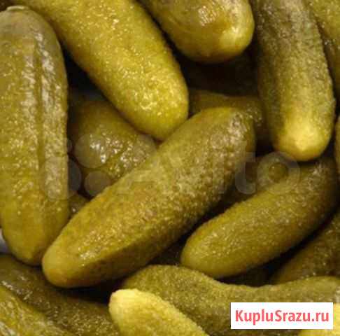 Огурцы соленые Комсомольск-на-Амуре - изображение 1