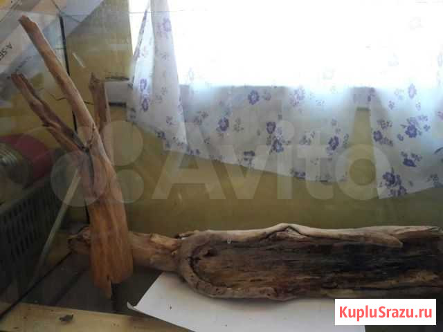 Коряги для оформления аквариума Ростов-на-Дону - изображение 1