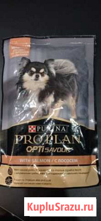 Proplan для собак с лососем Пенза - изображение 1