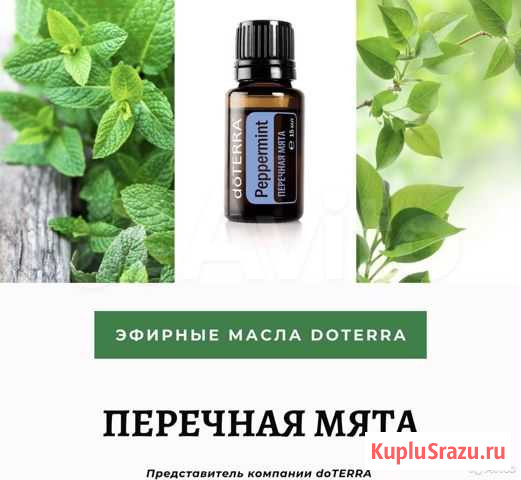 Эфирное масло мяты перечной Череповец - изображение 1