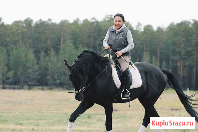 Конный спорт, верховая езда Улан-Удэ - изображение 1