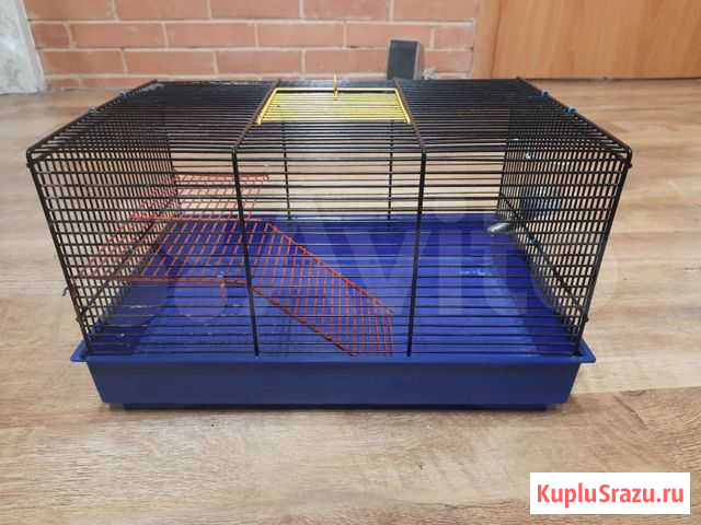 Клетка для грызунов Черняховск - изображение 1