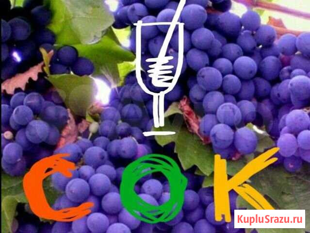 Продукты из винограда, жмых, сусло, мезга и т.д Анапа - изображение 1