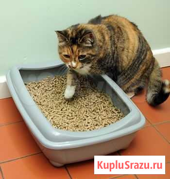 Древесные наполнители Раменское - изображение 1