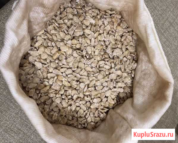 Кедровый жмых Горно-Алтайск - изображение 1