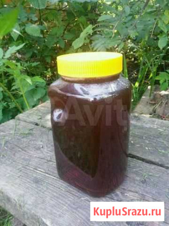 Продам мёд Горно-Алтайск - изображение 1