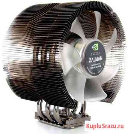 Zalman cnps9700 NT Курск