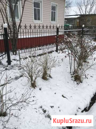 Забор Архангельск - изображение 1