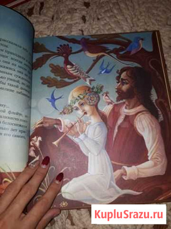 Новая большая красочная книга Дни дрозда Мурино - изображение 1