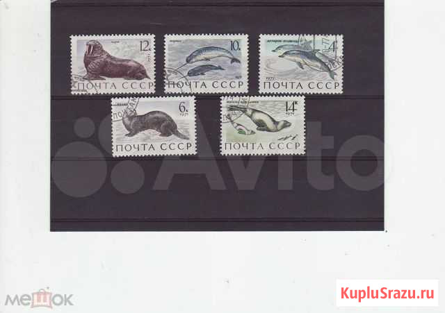 СССР морские животные 1971 Птицы 1972 г. и 1976 г Казань - изображение 1