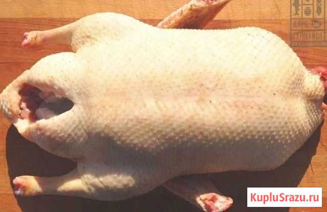 Мясо домашнего гуся Городец - изображение 1