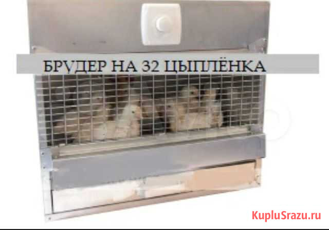 Для Цыплят - Брудер Самара - изображение 1