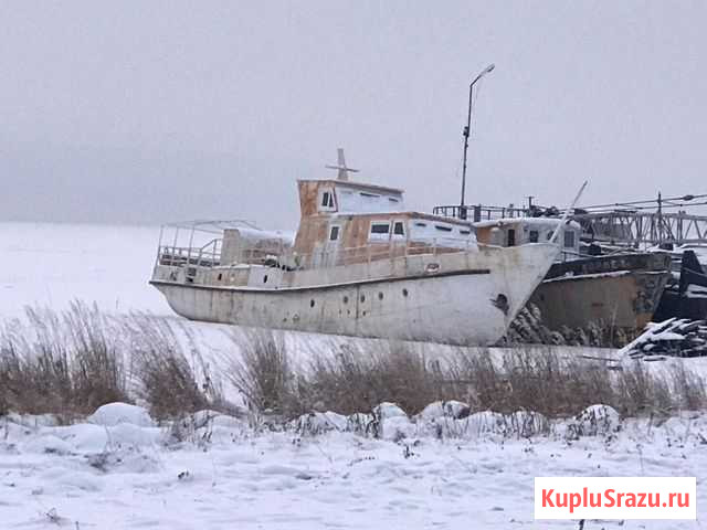 Продам Ярославец Иркутск - изображение 1