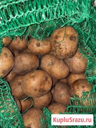 Продам картофель на чипсы Тюмень - изображение 1