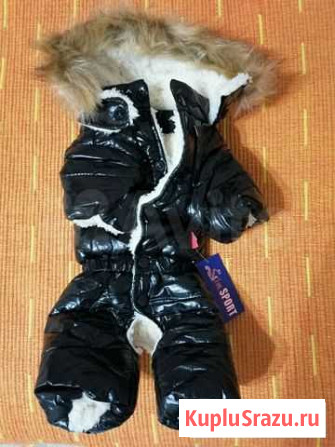 Комбинезон для девочки мелкой породы Красногорск - изображение 1