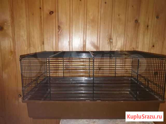 Клетки для грызунов бу Пыть-Ях - изображение 1