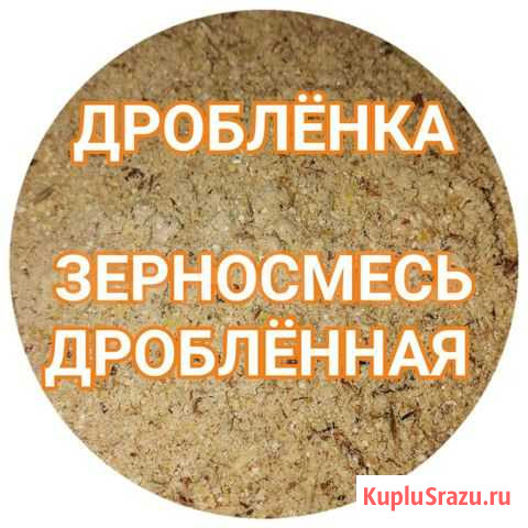 Зерносмесь Дробленная Саратов - изображение 1