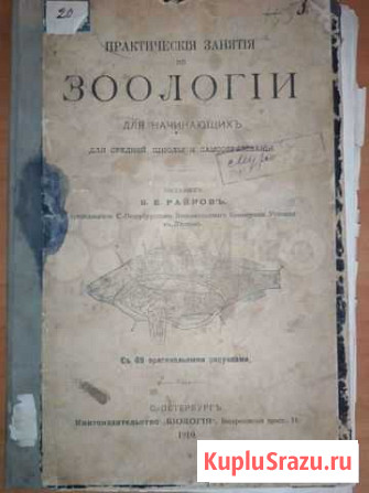 Книга 1910 года Зоология для начинающих Вольск - изображение 1