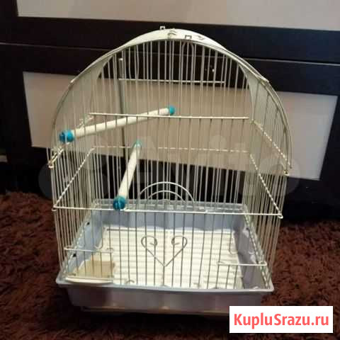 Клетки Арзамас - изображение 1