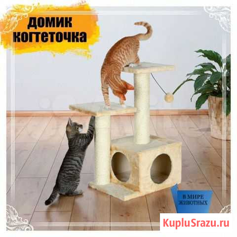 Когтеточки для ваших любимцев Белореченск - изображение 1