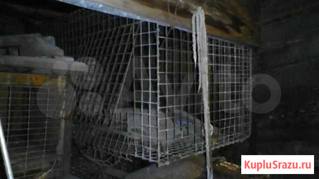 Клетки Магнитогорск - изображение 1