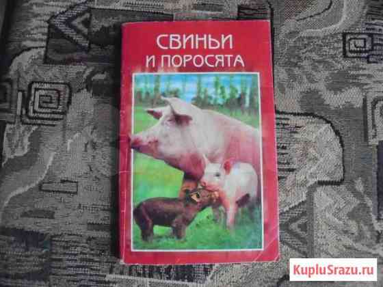 Книга свиньи и поросята Рыбинск
