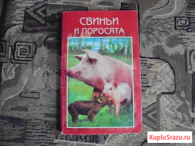 Книга свиньи и поросята Рыбинск - изображение 1