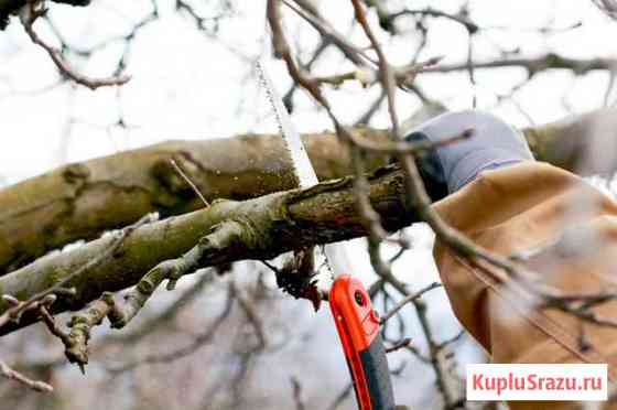 Культурная обрезка деревьев Нальчик