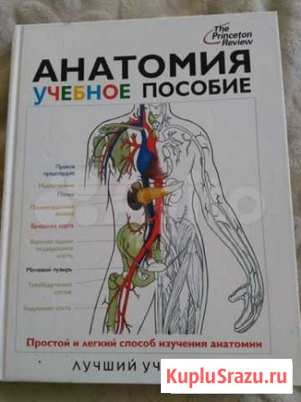 Книги Курган - изображение 1