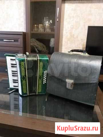 Аккордеон малыш Междуреченск - изображение 1