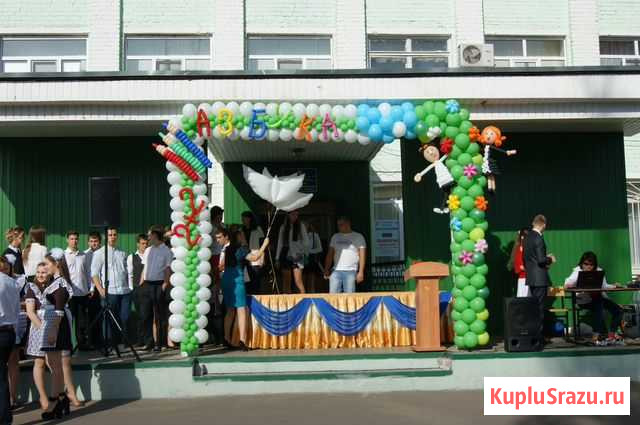 Шарики воздушные Лиски - изображение 1