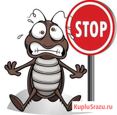 Уничтожение насекомых. Дезинфекция Новосибирск - изображение 1