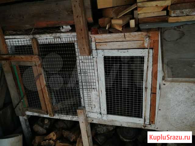 Крольчатник Волгоград - изображение 1