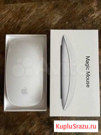 Мышь Apple Новый Свет - изображение 1