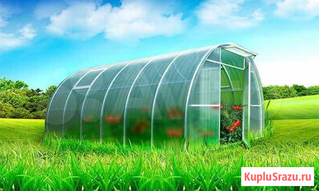 Теплица Ленинск-Кузнецкий - изображение 1