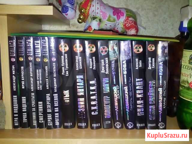 Stalker Кировск - изображение 1