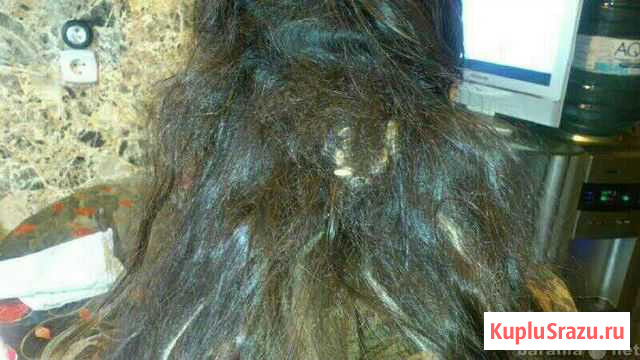 Снятие волос любой технологии, распутывание колтун Москва - изображение 1