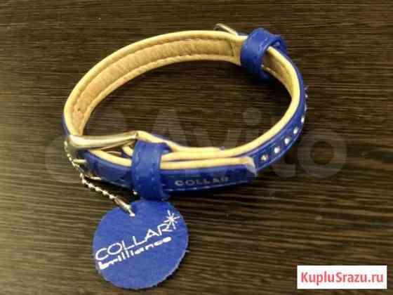 Ошейник Collar brilliance Краснозаводск